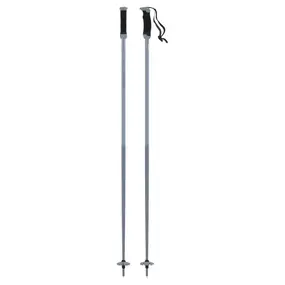 Горнолыжные палки Atomic Ski Amt SQS 2024-2025 / AJ5005766120 (р.120, светло-серый) 1