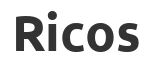 Коньки ледовые Ricos